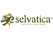 Selvatica